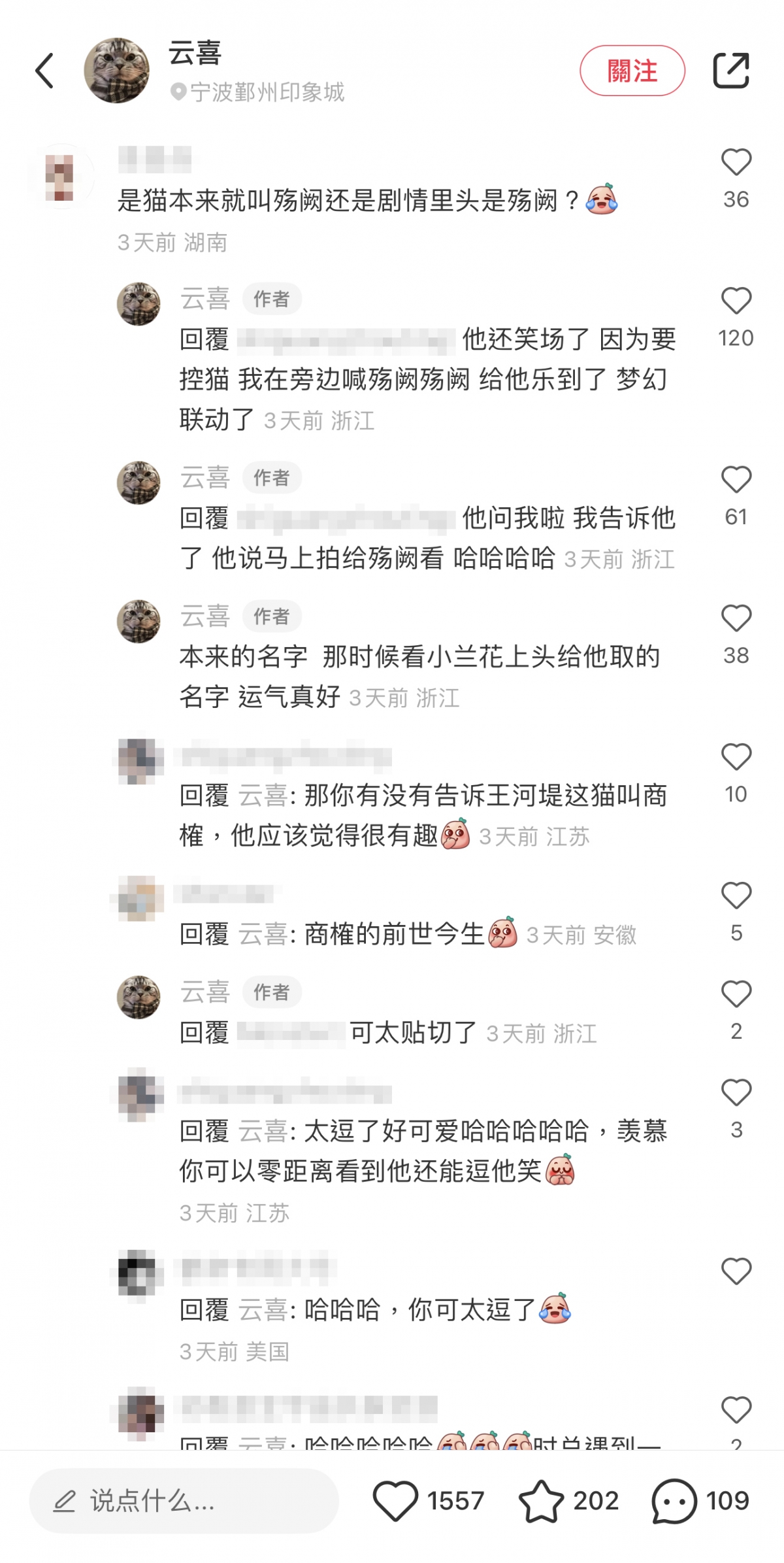 小黑貓「觴闕」名字由來