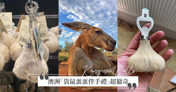 是真的蛋蛋！澳洲伴手禮「袋鼠蛋蛋鑰匙圈」獵奇爆紅♡開瓶器熱銷第一，真實觸感網大讚～