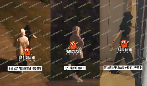 白鹿、張凌赫自拍照模樣般配。