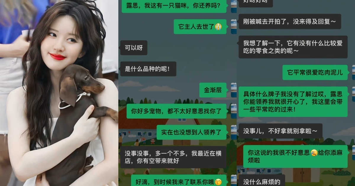 素人發信求助趙露思領養貓咪,她二話不說就答應了。