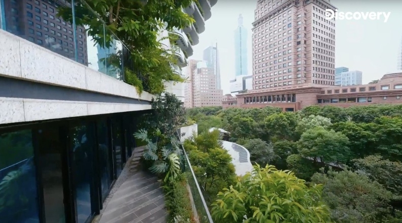 滿滿植栽