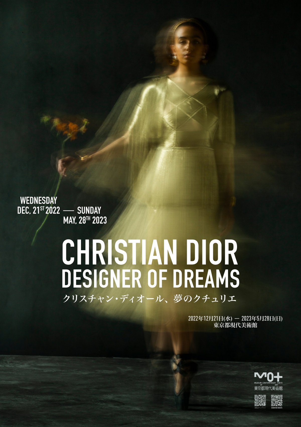 DIOR Designer of Dreams