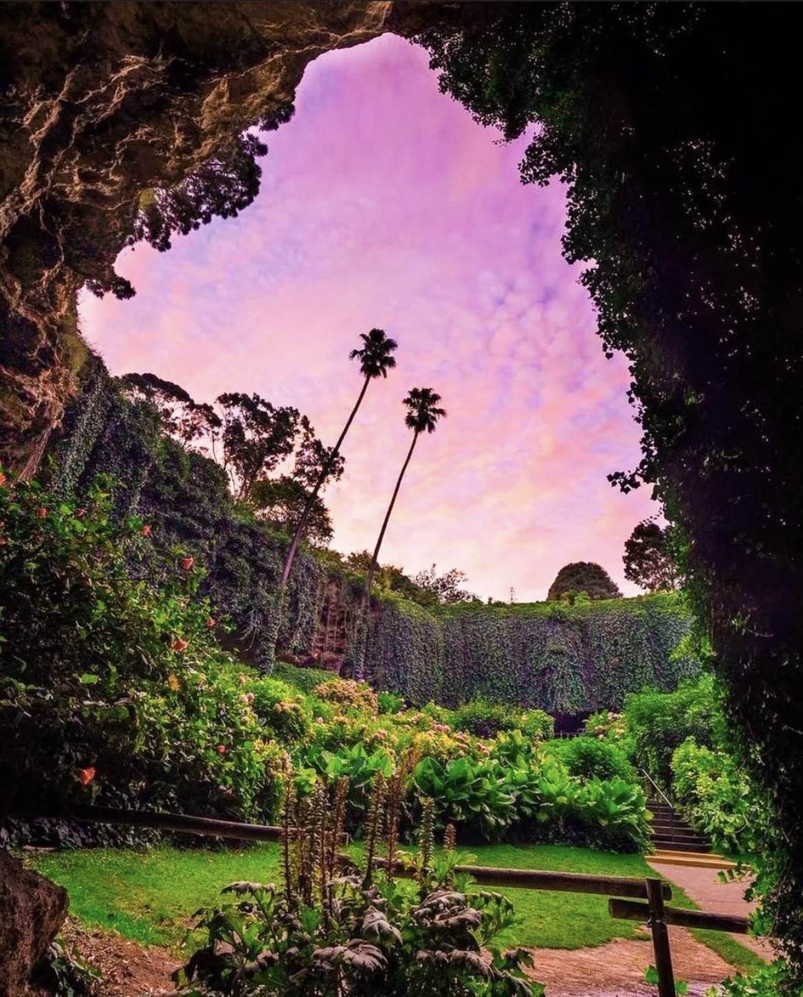 地下洞穴花園 Umpherston Sinkhole