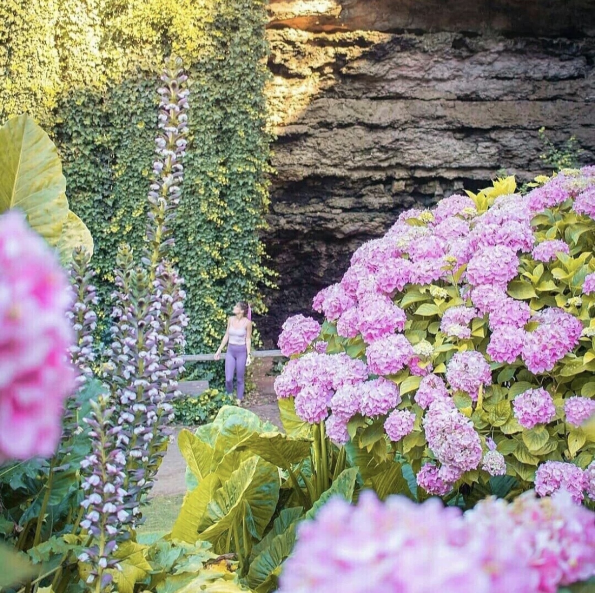 地下洞穴花園 Umpherston Sinkhole