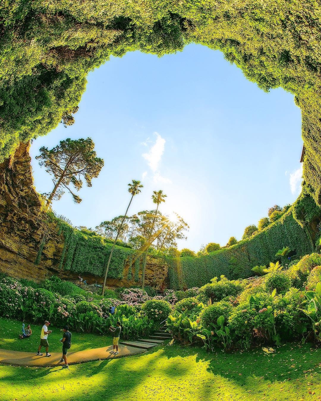澳洲必去景點4:洞穴花園Umpherston Sinkhole