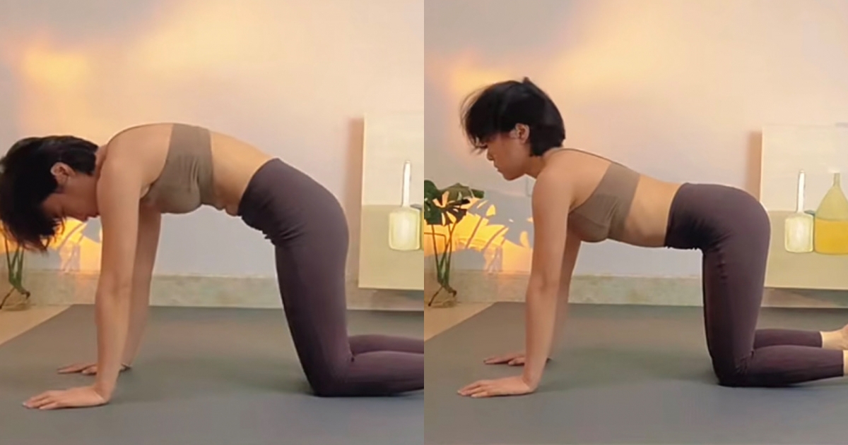 晨間瑜珈_貓牛式