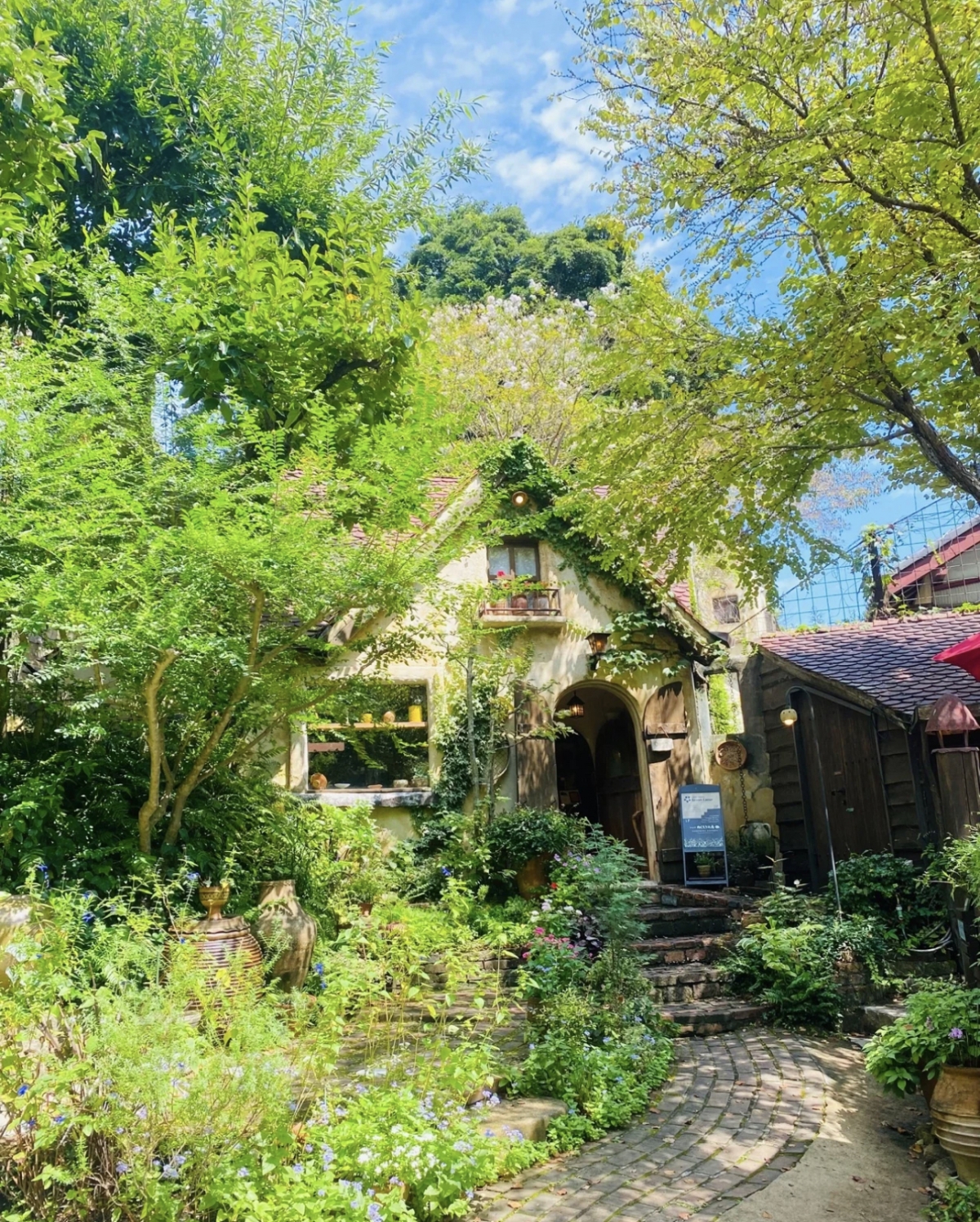 日本靜岡「溫暖之森」