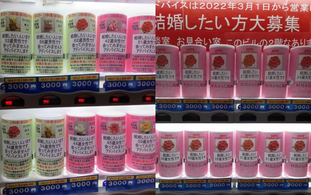 只要投入1000日元,就能和婚姻仲介公司聯繫