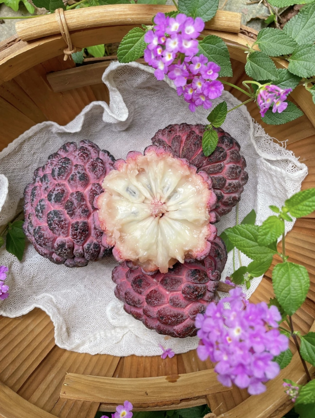 「玫瑰釋迦」社群爆紅