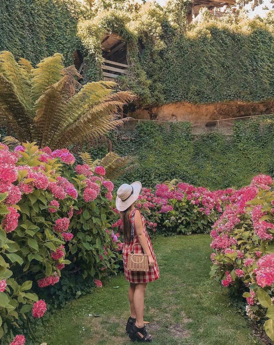 地下洞穴花園 Umpherston Sinkhole