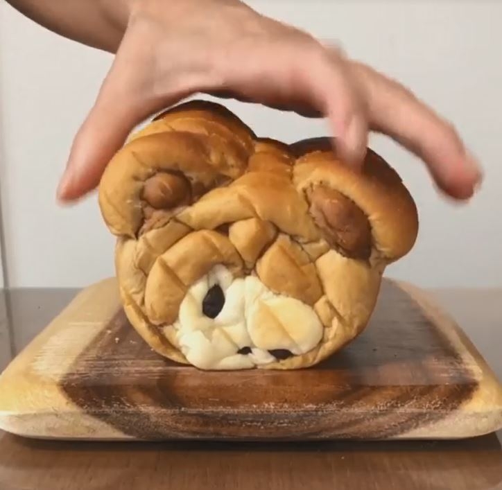 變型的熊