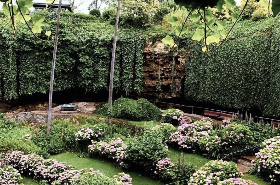 地下洞穴花園 Umpherston Sinkhole