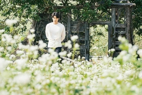 《孤單又燦爛的神-鬼怪》(2016)