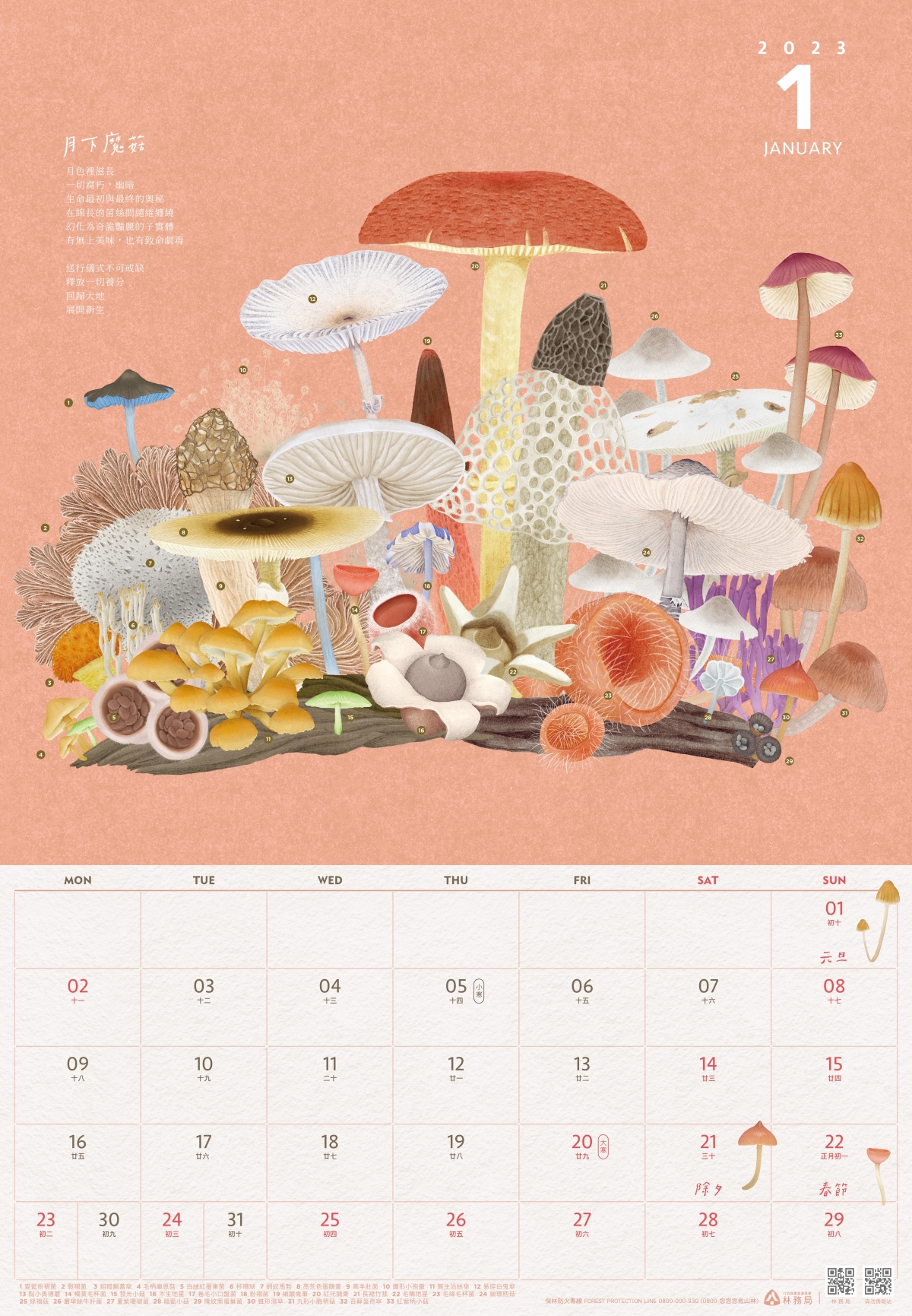 2023「小千之森」1月主題「月下魔菇」。