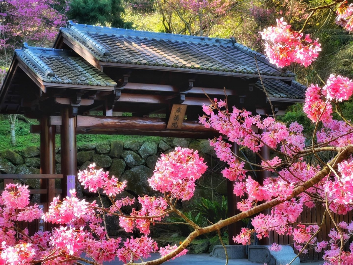 「寒溪呢」低調隱藏在深山,卻也因此保有原始自然的景致。