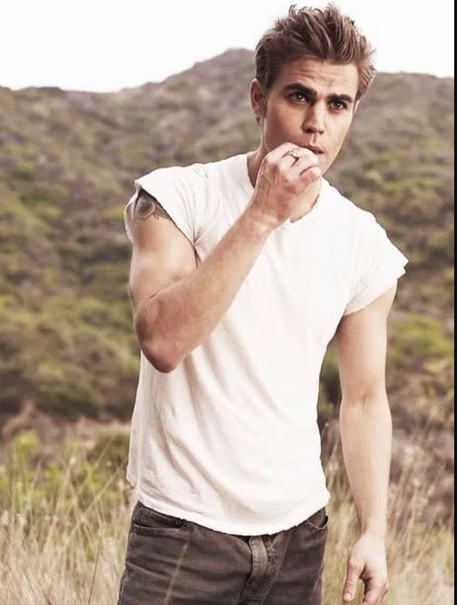 《噬血Y世代》男主角斯特凡