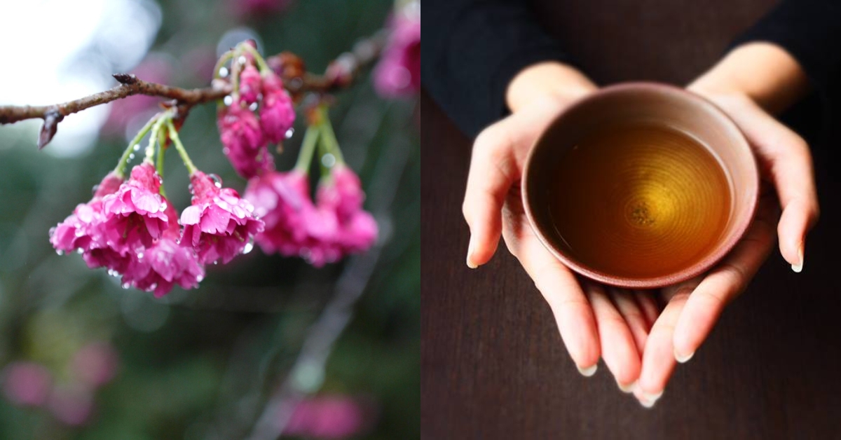 來到「寒溪呢」健行完,記得來上一碗茶韻悠長的高山茶。