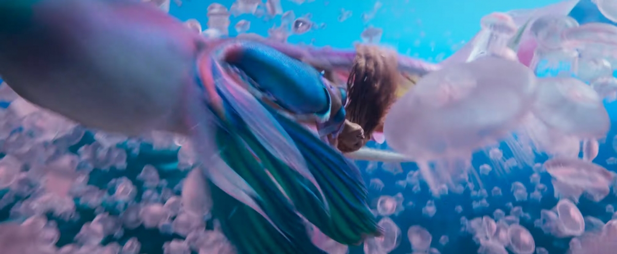 絢爛的海底世界