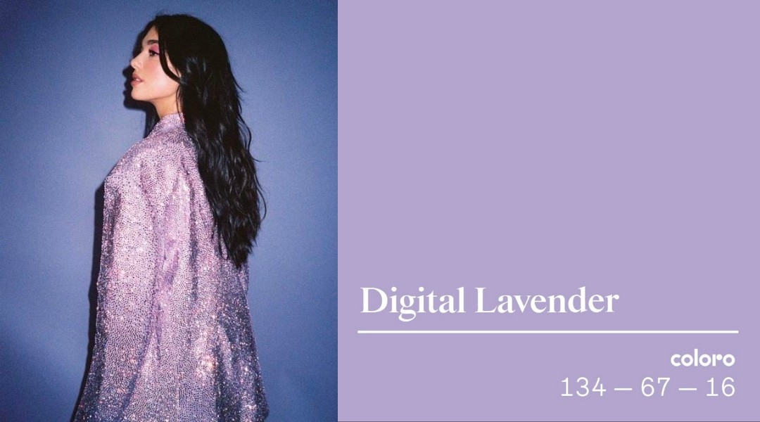 數碼薰衣草 ⎮ Digital Lavender