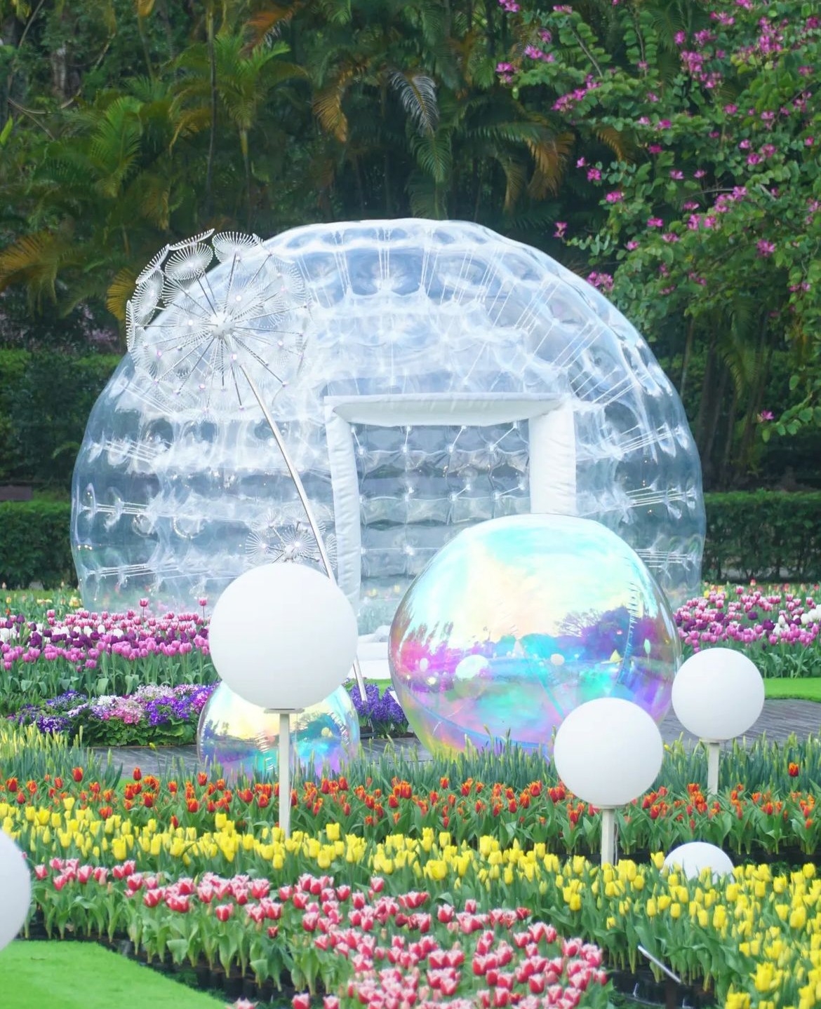 士林官邸鬱金香展打卡點1:崖上的波妞