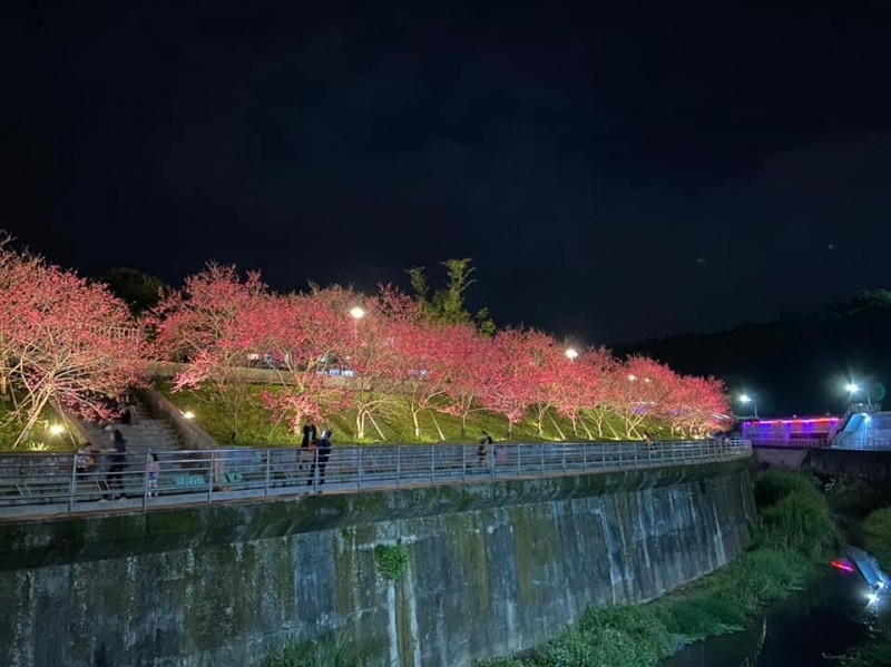 台灣北部櫻花景點3：台北內湖樂活公園