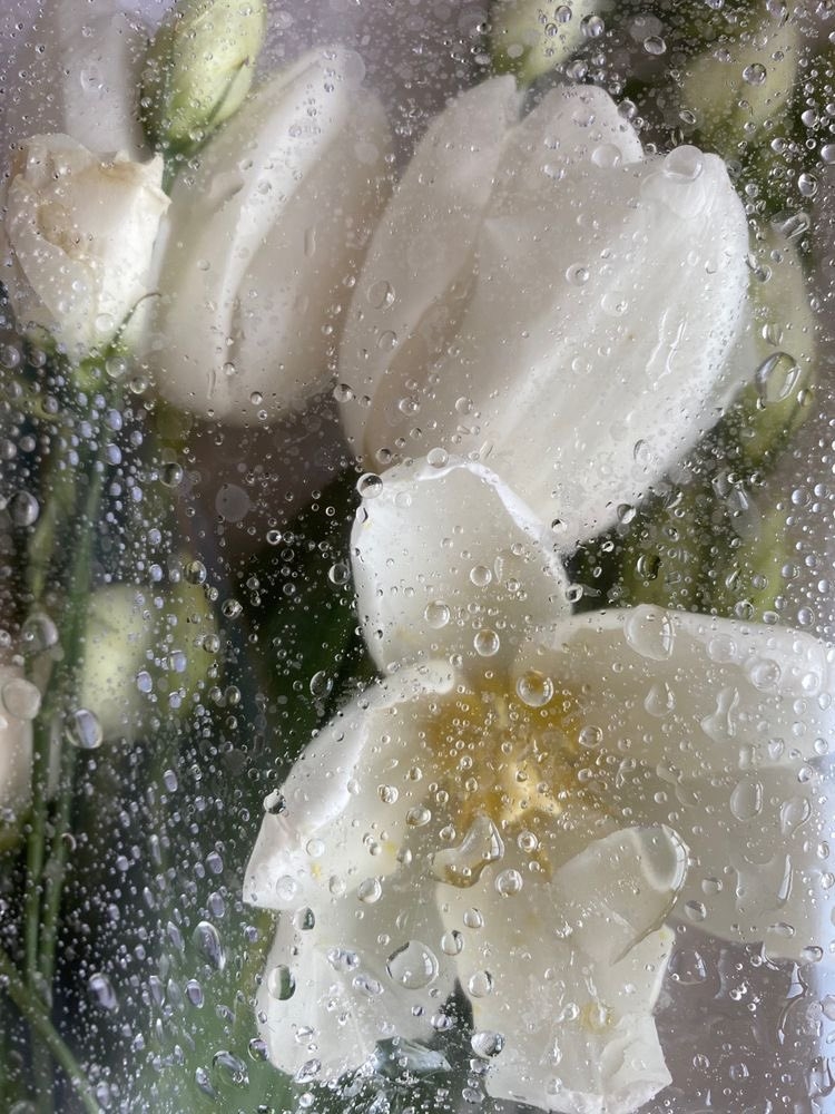 在 iPhone 上，您可以通過以下步驟設置手機桌布： 打開「照片」應用程式。 選擇要使用的圖片。 點擊右下角的「共享」圖示。 選擇「設為桌布」。