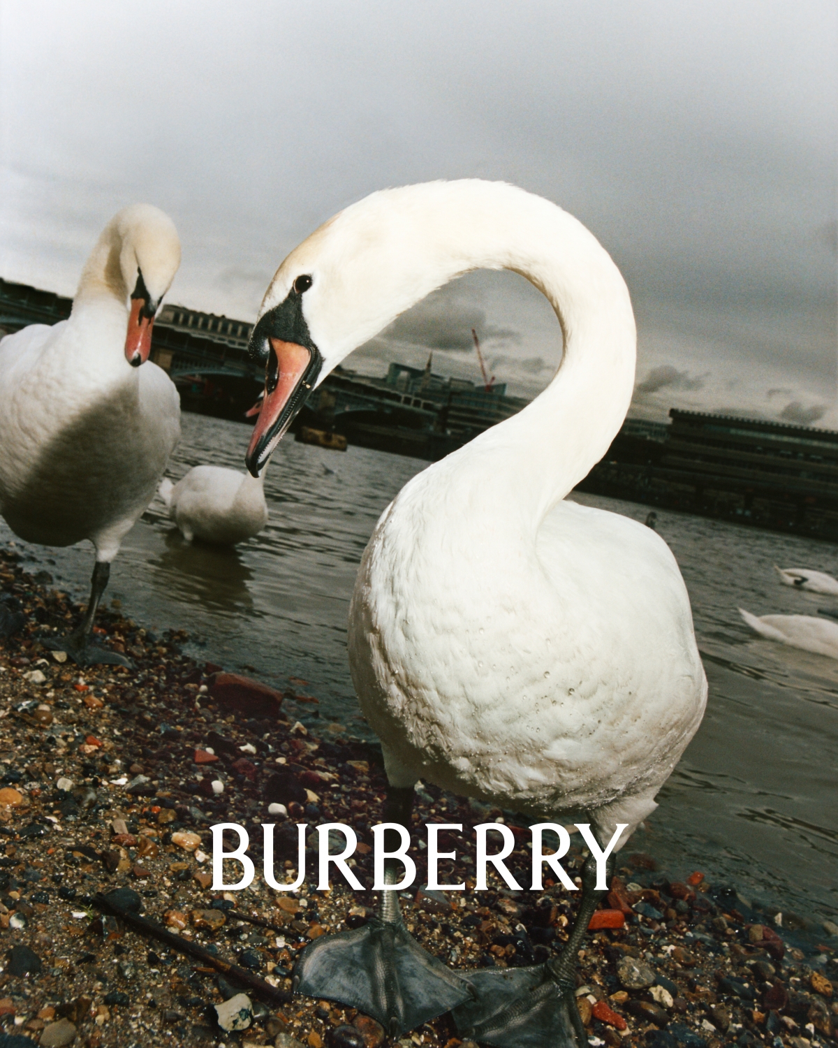 Burberry