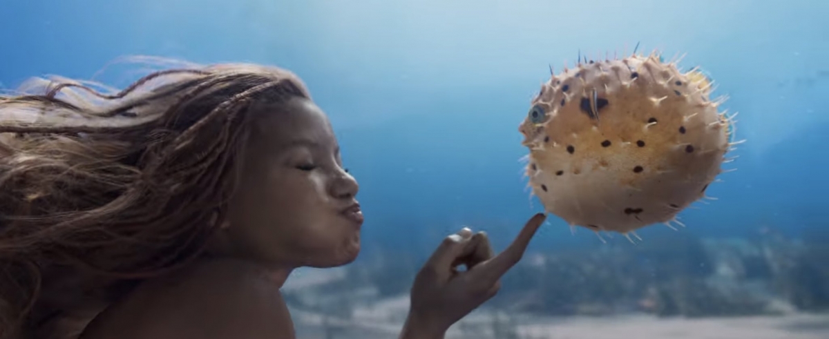《小美人魚》女主角Halle Bailey與河豚嬉戲