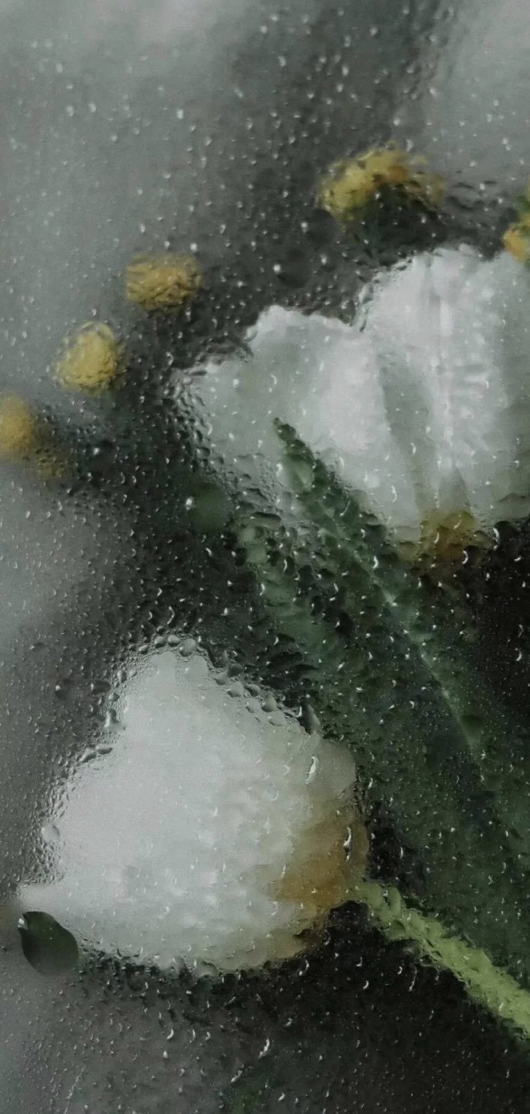 快來創建一個具有浪漫和少女心的手機桌布。