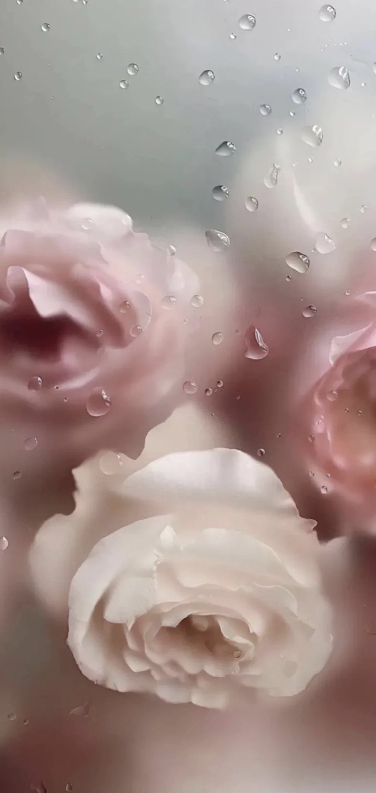 粉色花卉通常具有浪漫和可愛的感覺，適合喜歡少女心風格的人。