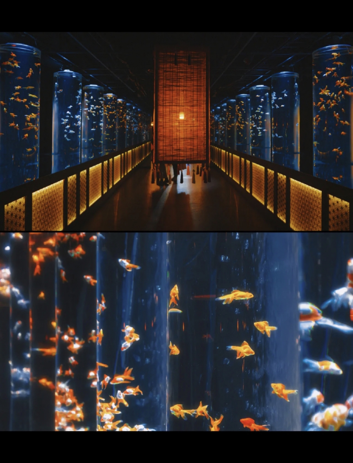 Art Aquarium「めっちゃ桜 ~SAKURA Special~」