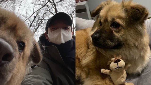 曹承佑愛心領養流浪狗的善舉傳開,讓外界讚賞不已。