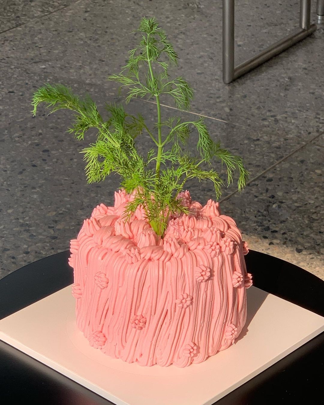 粉紅蒔蘿香菜蛋糕乍看之下很違和。