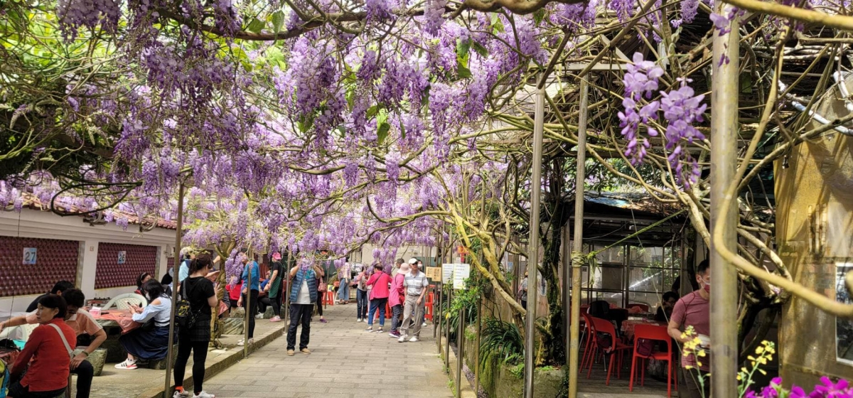 邊吃熱炒邊賞花