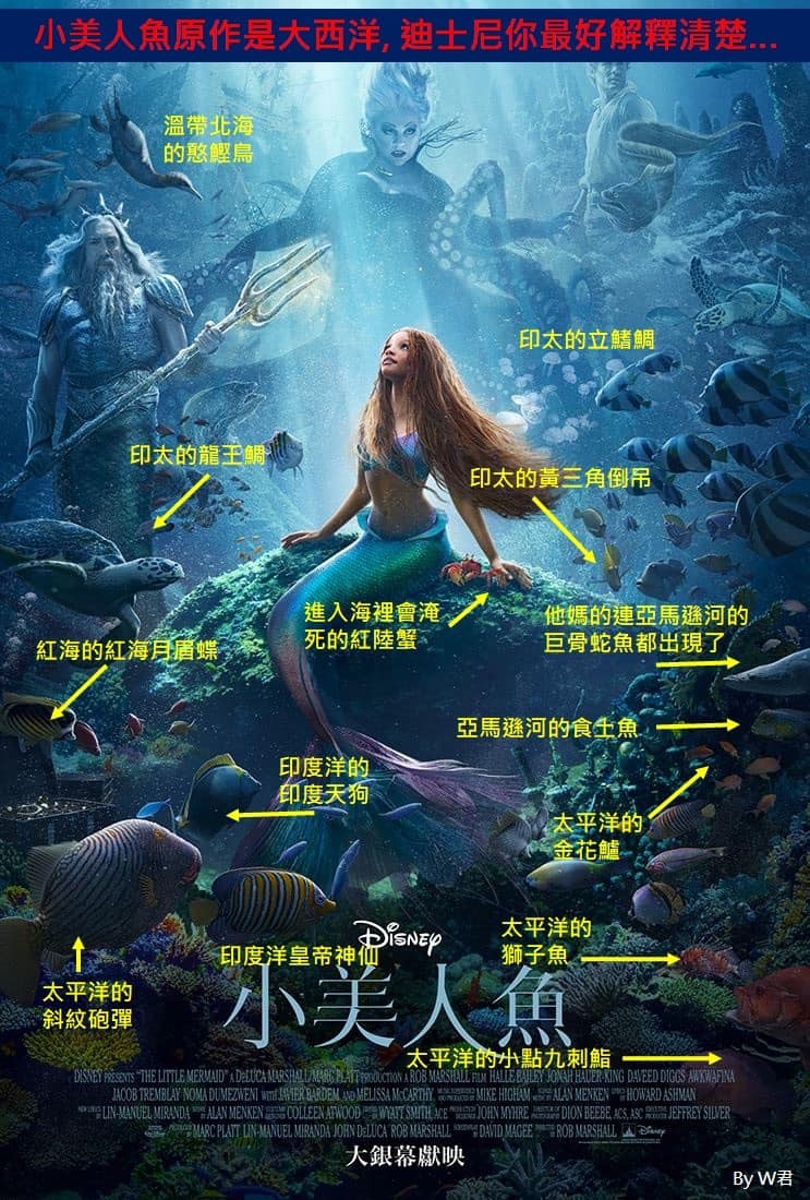 各種魚混雜