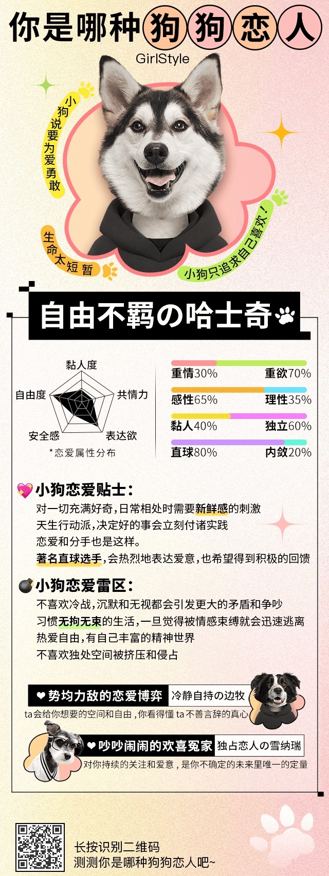 哈士奇