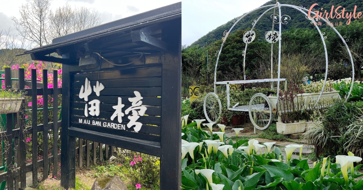 陽明山海芋推薦拍照景點3:苗榜海芋花園餐廳