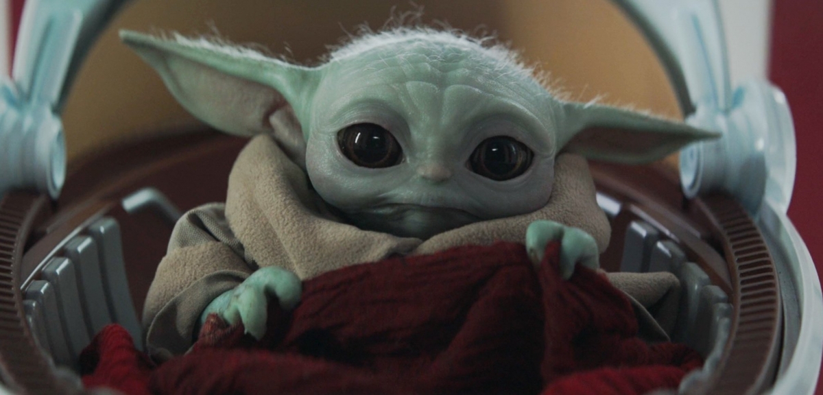 古古超萌大眼擄獲全球影迷的心