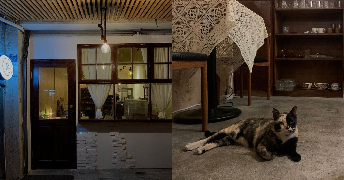 懷舊老屋建築，伴著微黃燈光風格溫馨，整間店都是可愛店貓的地盤。
