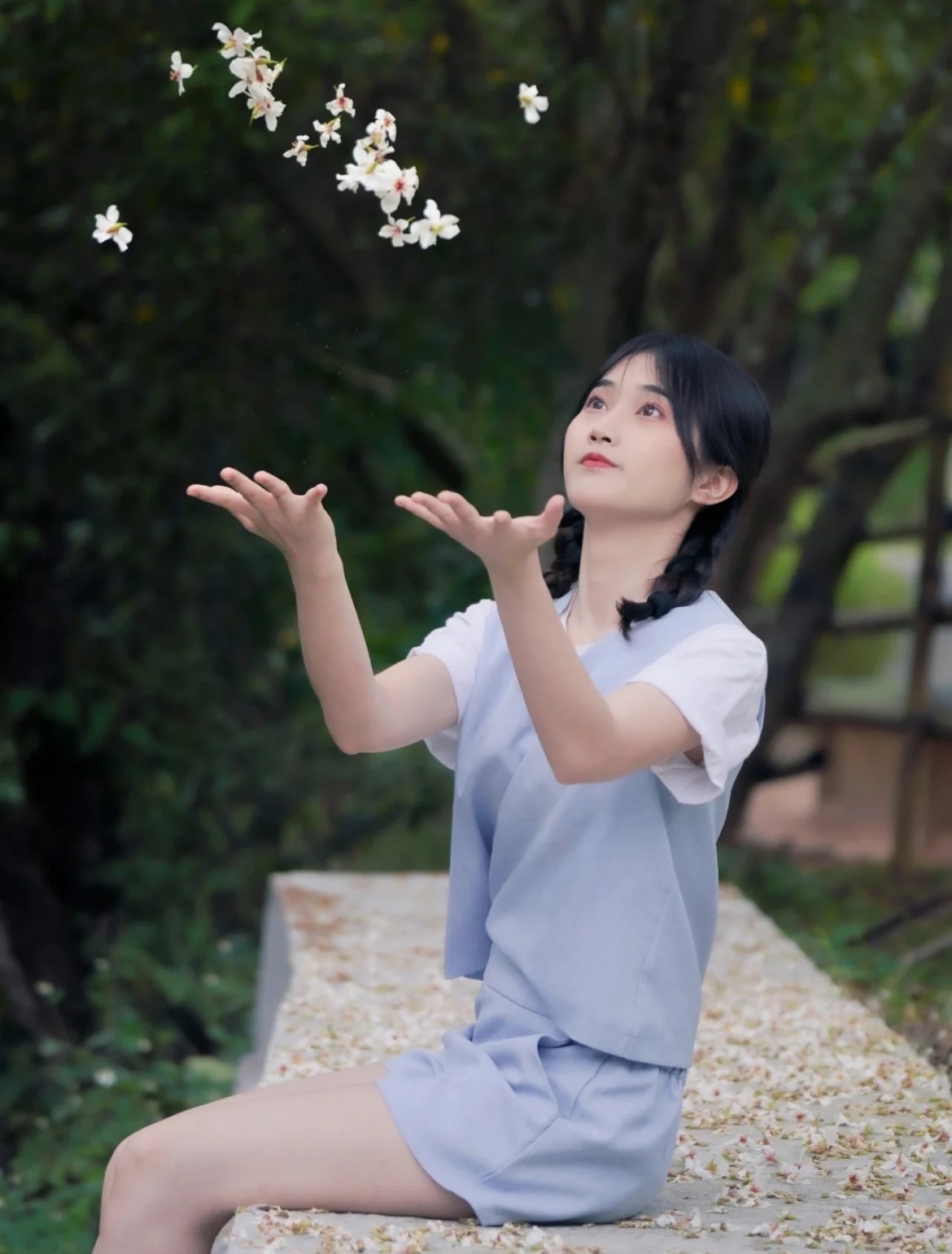 2023苗栗桐花祭：油桐花景點介紹