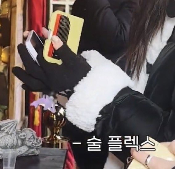 Lisa的信用卡引發廣大網友們的熱烈討論。