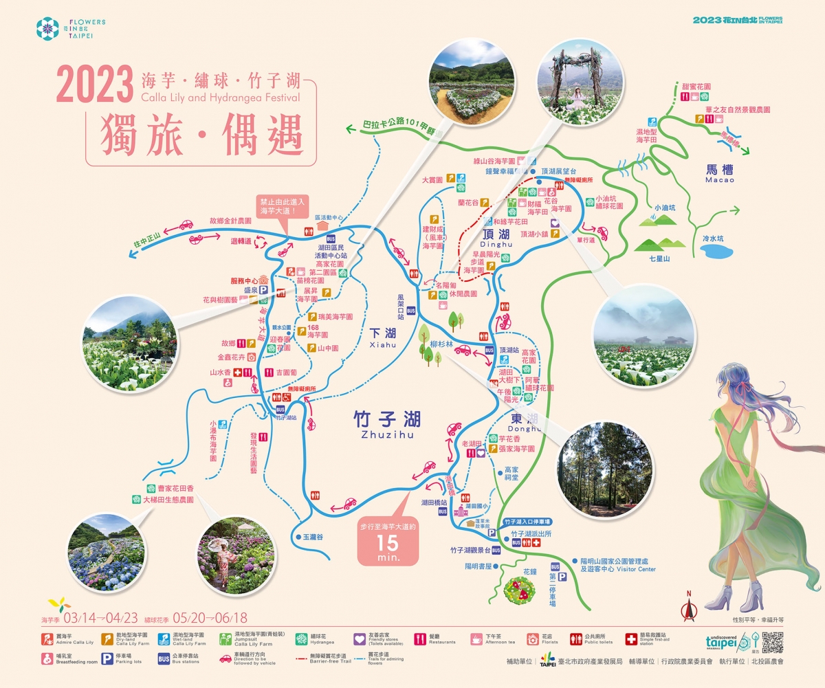 2023陽明山海芋季賞花地圖