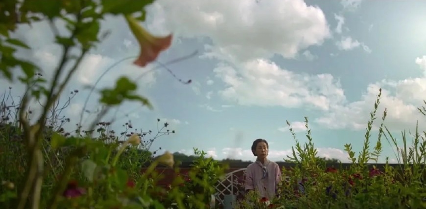 《黑暗榮耀》劇情鏡頭彩蛋6:房東奶奶的花園如同上帝視角