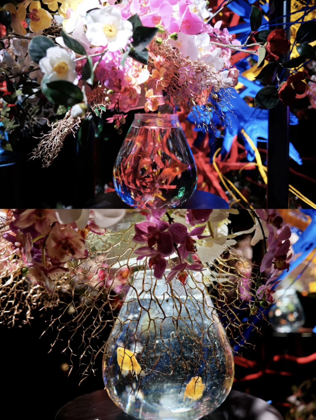 Art Aquarium「めっちゃ桜 ~SAKURA Special~」