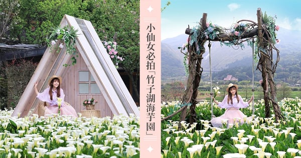 【2023陽明山海芋季】5家竹子湖海芋園推薦！花況、交通、時間＆餐廳一日遊行程懶人包！