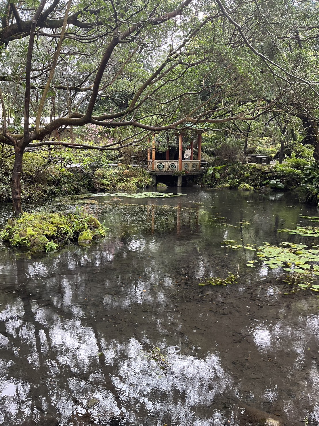 為什麼你拍的照片看起來就是很普通? 原來只要微調就能夠有意競