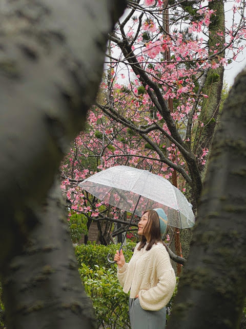 攝影常勝軍 Paddy Chao 趙培均善用 iPhone 14 Pro的拍照技巧