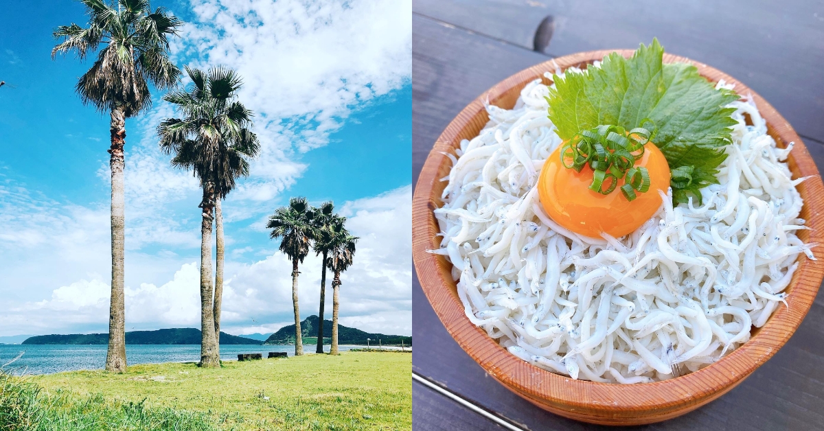 椰林藍天下享受吻仔魚丼，真是一件樂事！