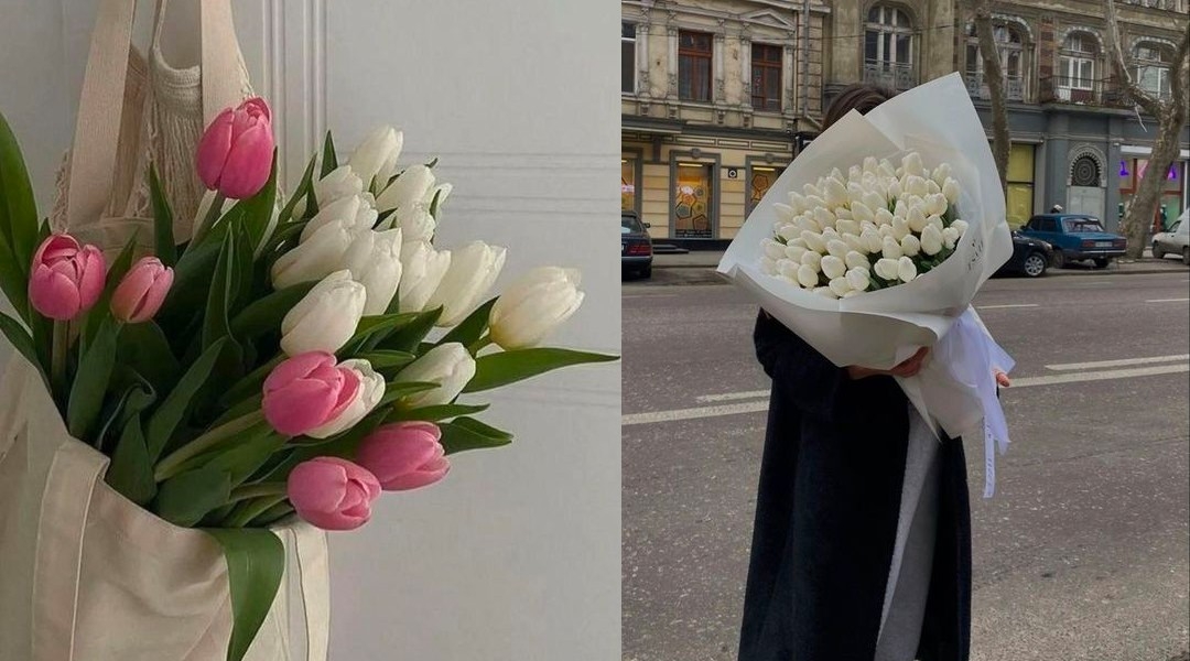 母親節花語:鬱金香