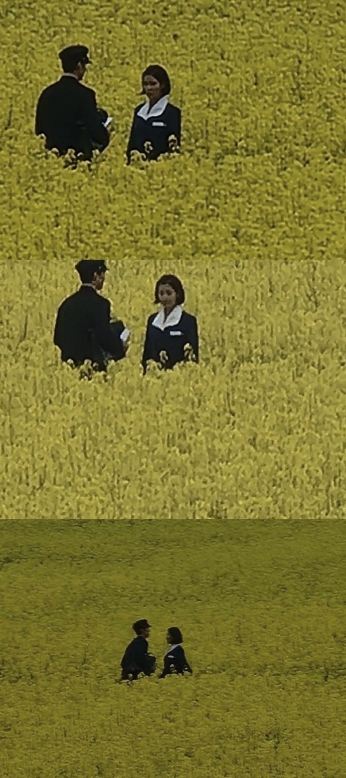 朴寶劍、IU路透照